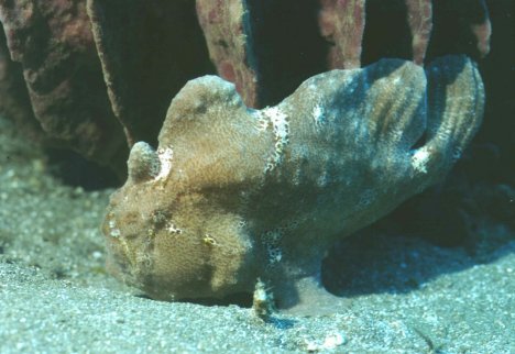 � Dr. Werner Steinert