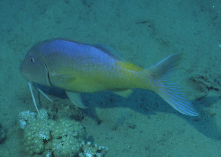 � Dr.Werner Steinert