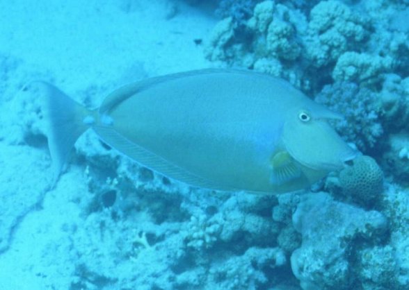 � Dr.Werner Steinert