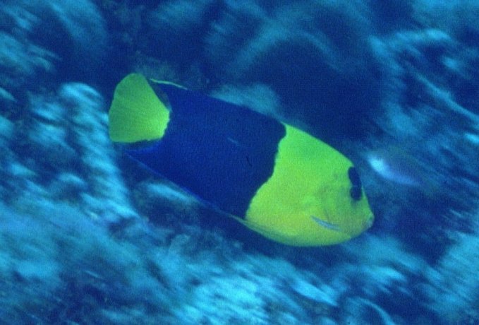 � Dr.Werner Steinert