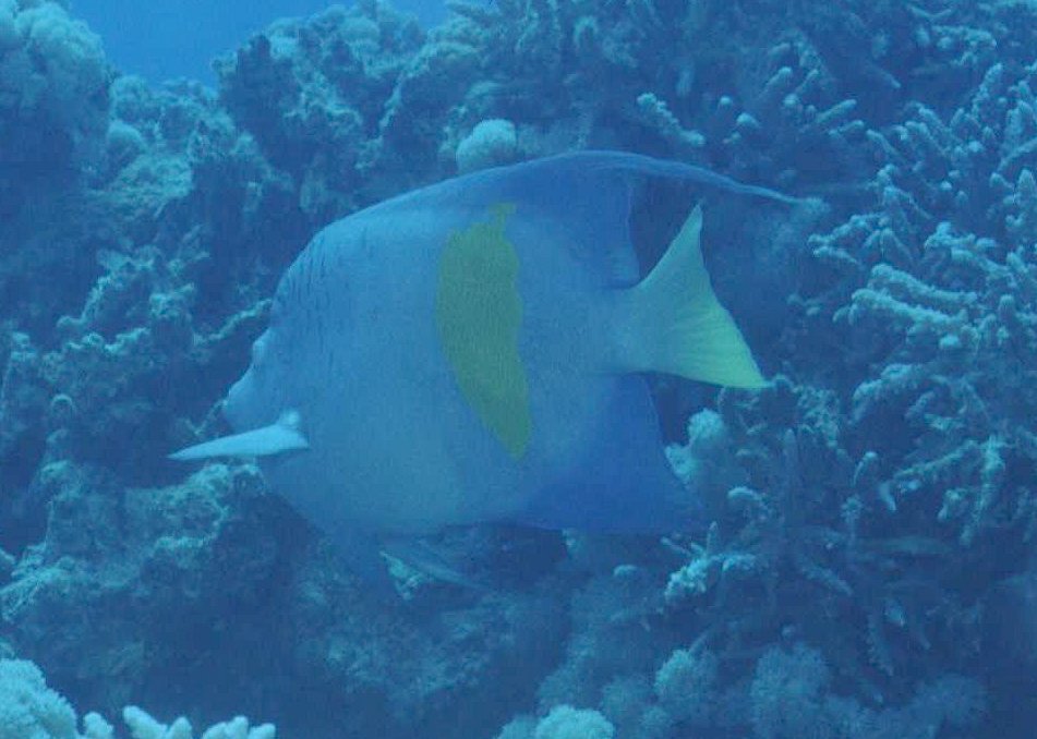 � Dr.Werner Steinert