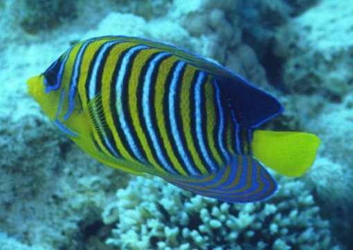 � Dr.Werner Steinert