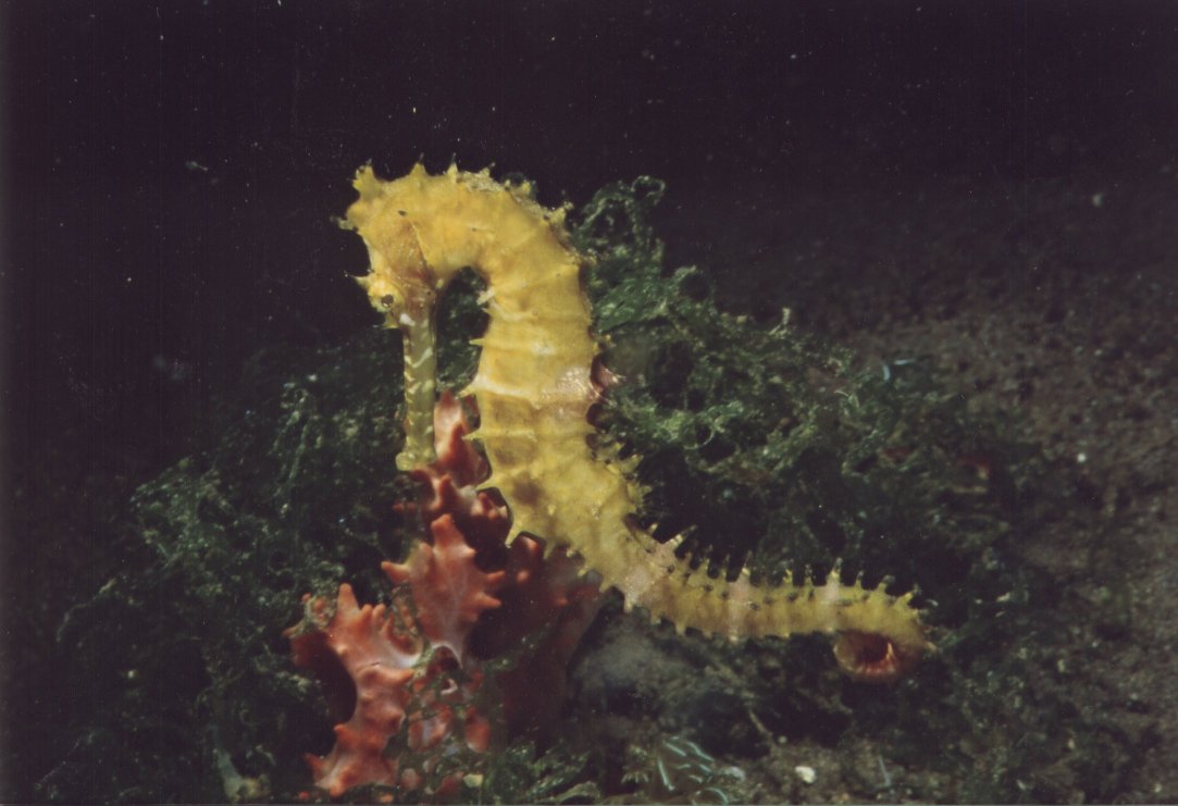 � Teresa Zuberb�hler