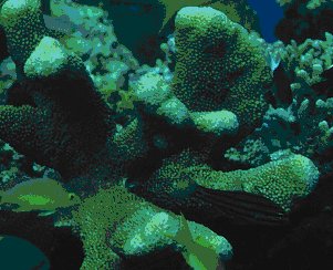 � Dr. Werner Steinert