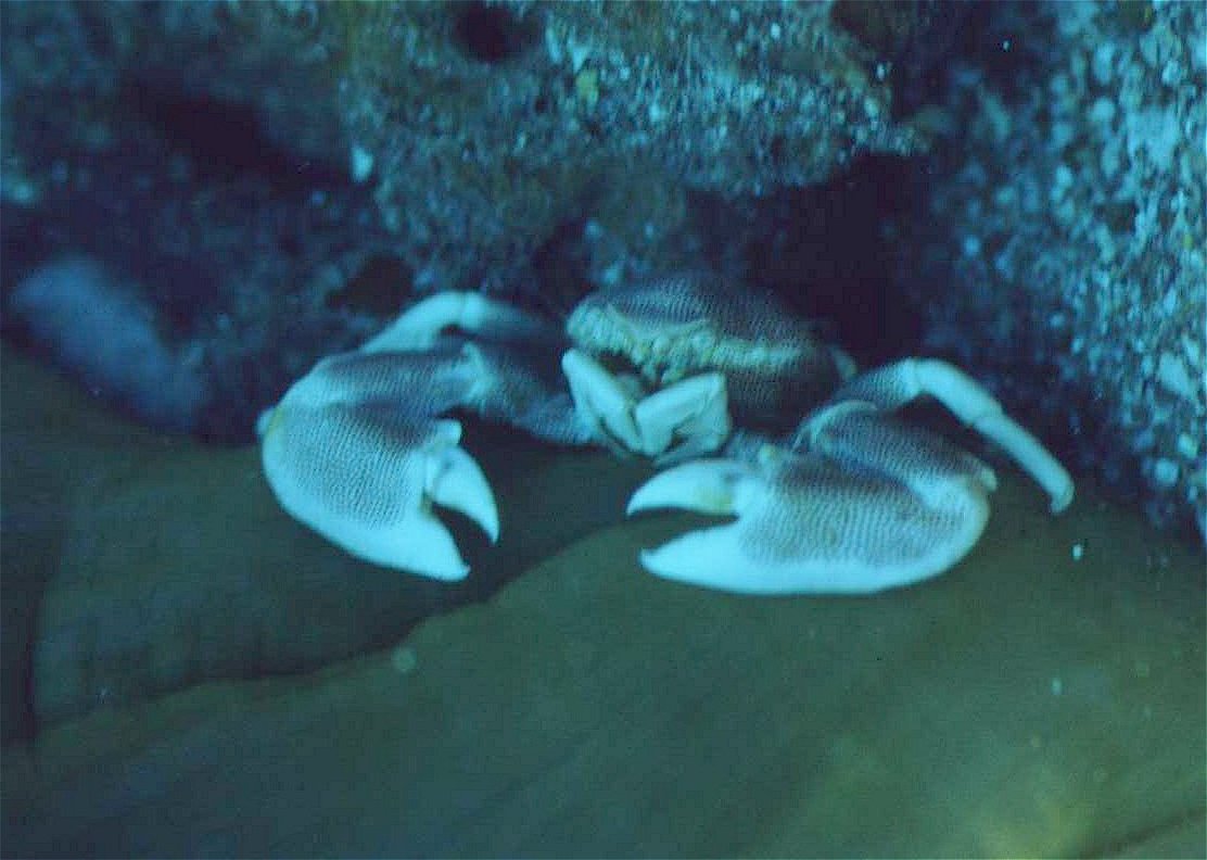 � Dr. Werner Steinert