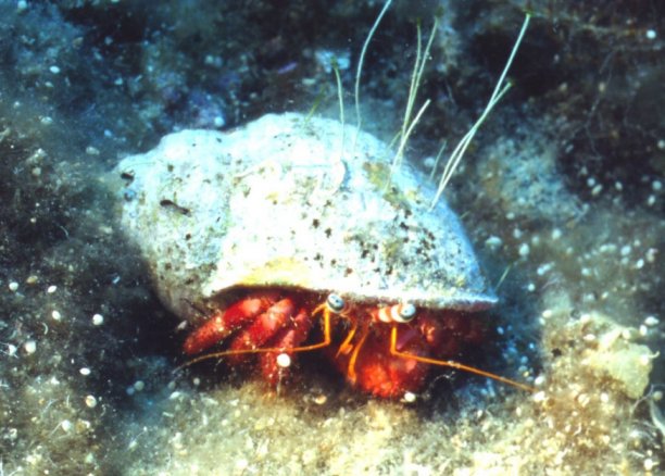 � Dr. Werner Steinert