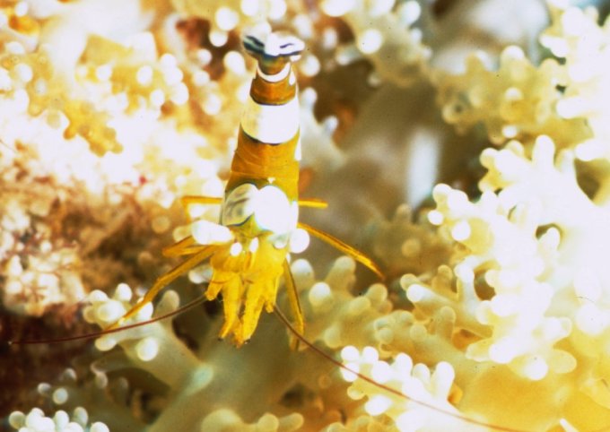 � Dr. Werner Steinert