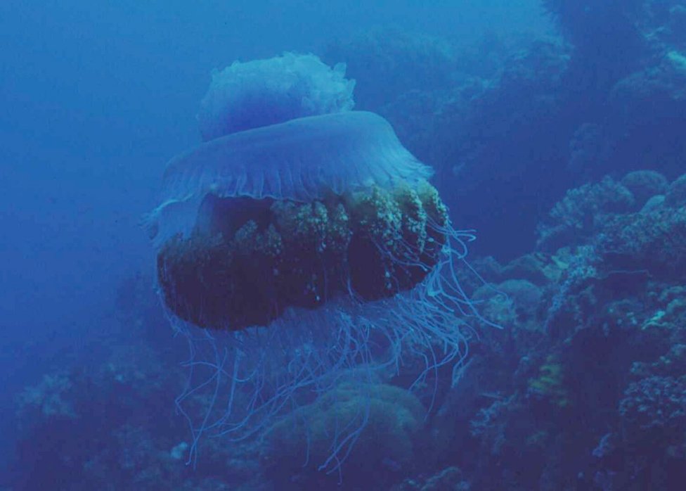 � Dr.Werner Steinert