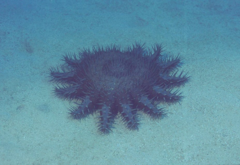 � Dr. Werner Steinert