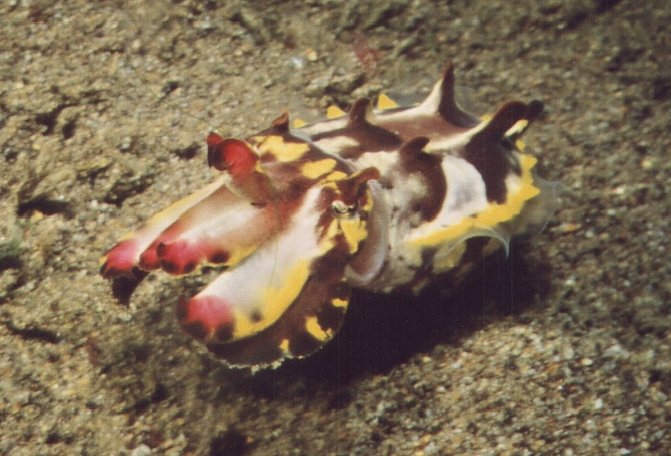 � Teresa Zuberb�hler